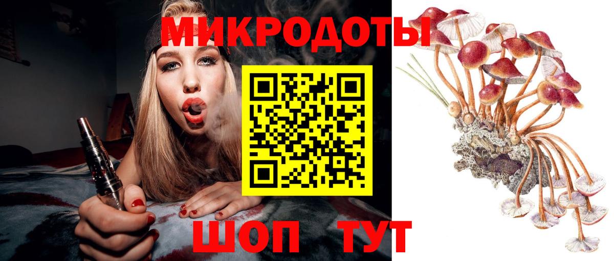 Псилоцибиновые грибы GOLDEN TEACHER  Вход с VPN  Магадан 